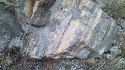 Гигантские зелёные валуны для ландшафтного дизайна весом более 5 тонн купить в Голицыно