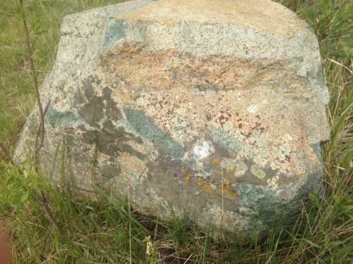 Гигантские зелёные валуны для ландшафтного дизайна весом более 5 тонн купить в Голицыно